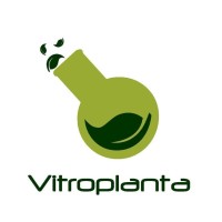 Vitroplanta logo - Similar company to Vitroplant Sa