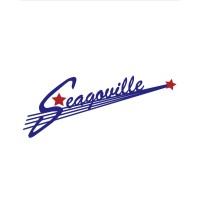 City Of Seagoville logo - Similar company to Web3 Advisory