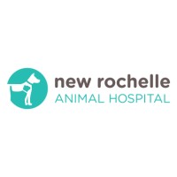 New Rochelle Animal Hospital logo - Similar company to New Rochelle Ymca