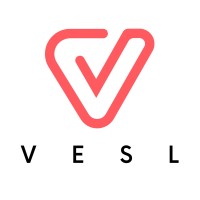 Vesl Pte. Ltd. logo - Similar company to Vmoney™