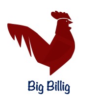 Big Billig logo - Similar company to Trunnion Bridge
