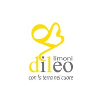 Limoni Di Leo logo - Similar company to Developpy