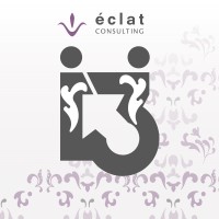 éclat Consulting logo - Similar company to Nalanda Institute