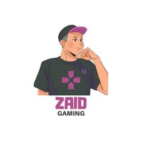 ZaidGaming logo - Similar company to Electrostore