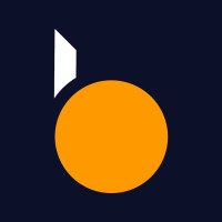 Burtucala logo - Similar company to Agate Project Management Llc