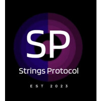 StringsProtocol logo - Similar company to Webuildsaunas