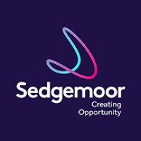 Sedgemoor District Council logo - Similar company to Cjr Studio™