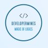 Developer Mines logo - Similar company to Kartmagic