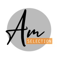 AM Selection Mobilier logo - Similar company to Plus Mobilier