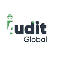 iAudit Global Limited logo - Similar company to Paradise Food Industries (Pfi)