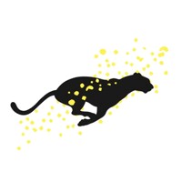 Kituko Productions logo - Similar company to Rochstar S.A.
