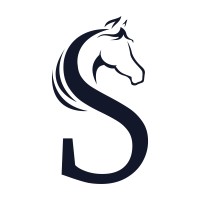 Sherlin Consulting Group logo - Similar company to Neuro Management Llc
