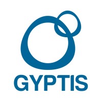 Gyptis Global Consulting Pte Ltd logo - Similar company to - Recruitment Solutions