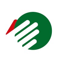 Magyar Kézilabda Szövetség logo - Similar company to Consoulution