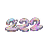 222 Consulting logo - Similar company to Little Business