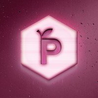 Plum'n creation logo - Similar company to Targetcatcher Inc.