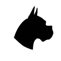 Beast Coast Apparel Co. logo - Similar company to Coast Apparel