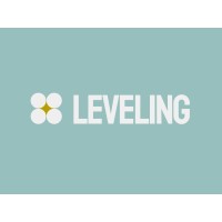 Leveling logo - Similar company to Cheetah Tech-Lab Software Development And Consultancy