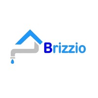 Brizzio India logo - Similar company to Rochen Enterprise