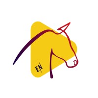 Equestrian News logo - Similar company to Vl