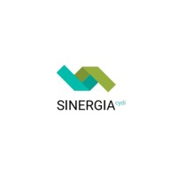 Sinergia CyDI logo - Similar company to Zcc Usa Inc