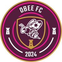 OBEE JFC logo - Similar company to Agence Sokeo - Développement Informatique Sur Mesure