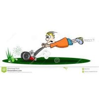 Hemi'S Lawn And Gardening