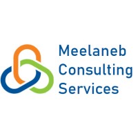 Meelaneb Consulting Services logo - Similar company to Bigidea Technologies