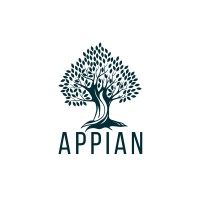 Appian logo - Similar company to Vision Point
