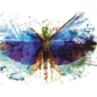 Sandbee Digital logo - Similar company to Netop Digital