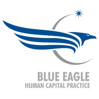 Blue Eagle Human Capital Practice logo - Similar company to Karani Leadership