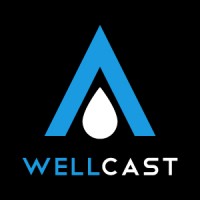 Wellcast logo - Similar company to Flowmax Pumps & Valves