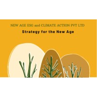 New Age ESG & Climate Action logo - Similar company to 3Ps Advisory Llp