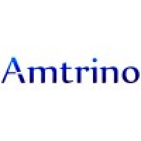 Amtrino Technologies logo - Similar company to Getxpert Infotech