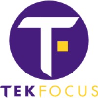 TekFocus logo - Similar company to Tekfocus Minds