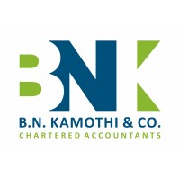 B N KAMOTHI & CO logo - Similar company to Task Initiatives Private Limited