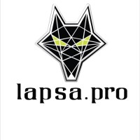 Lapsa.pro logo - Similar company to 3Enith
