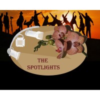 The Spotlights logo - Similar company to Mentaal Klassikaal