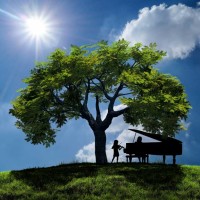 Olive Tree Music Academy