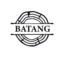 BATANG logo - Similar company to So Far Consulting