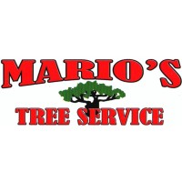 Mario's Tree Service Inc. logo - Similar company to Arborworks, Llc