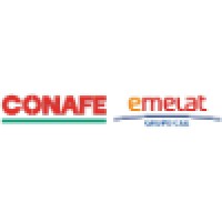 Compañía Nacional De Fuerza Eléctrica S.A.