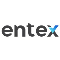 ENTEX Logic logo - Similar company to Green Digital Innovation Hub