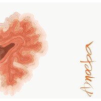 AMOEBA DIARIES