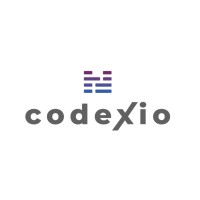 Codexio logo - Similar company to Jboxers