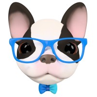 BulldogSoft logo - Similar company to Exelity