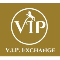 V.I.P. Exchange - A Leading Regulated & Licensed Foreign Exchange House Since 2000 logo - Similar company to Blozeh |بلوزة