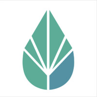 Mint Creative, Llc