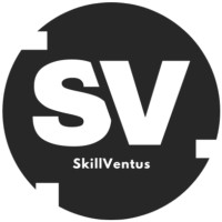 SkillVentus logo - Similar company to Visyntro