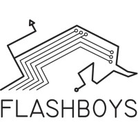 Flashboys logo - Similar company to Jsguru